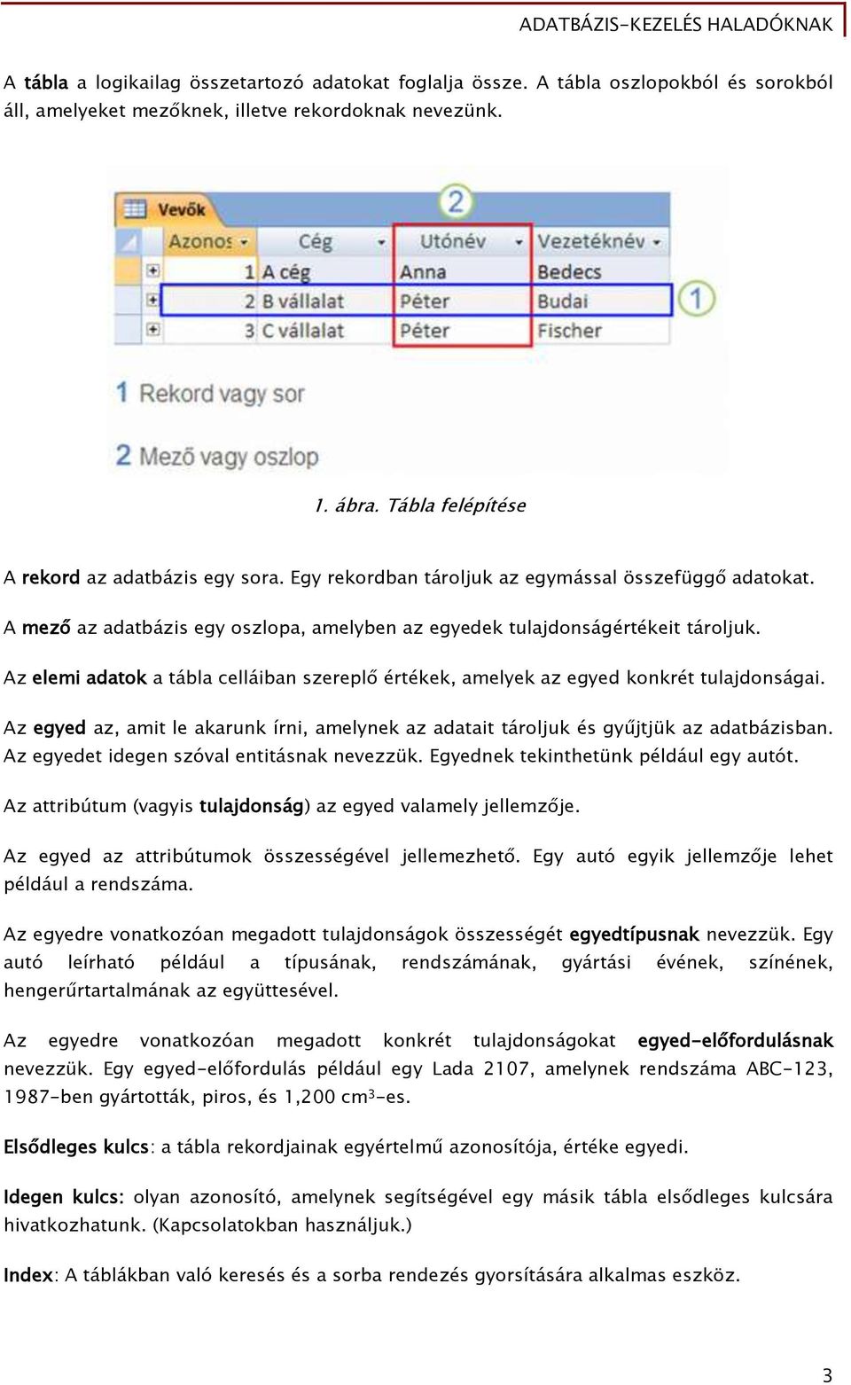 Az elemi adatok a tábla celláiban szereplő értékek, amelyek az egyed konkrét tulajdonságai. Az egyed az, amit le akarunk írni, amelynek az adatait tároljuk és gyűjtjük az adatbázisban.