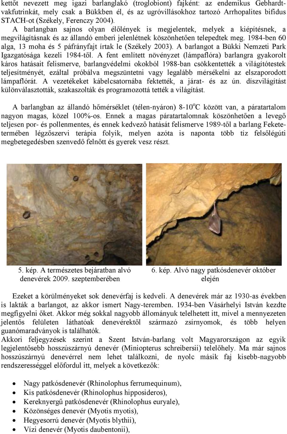 1984-ben 60 alga, 13 moha és 5 páfrányfajt írtak le (Székely 2003). A barlangot a Bükki Nemzeti Park Igazgatósága kezeli 1984-től.