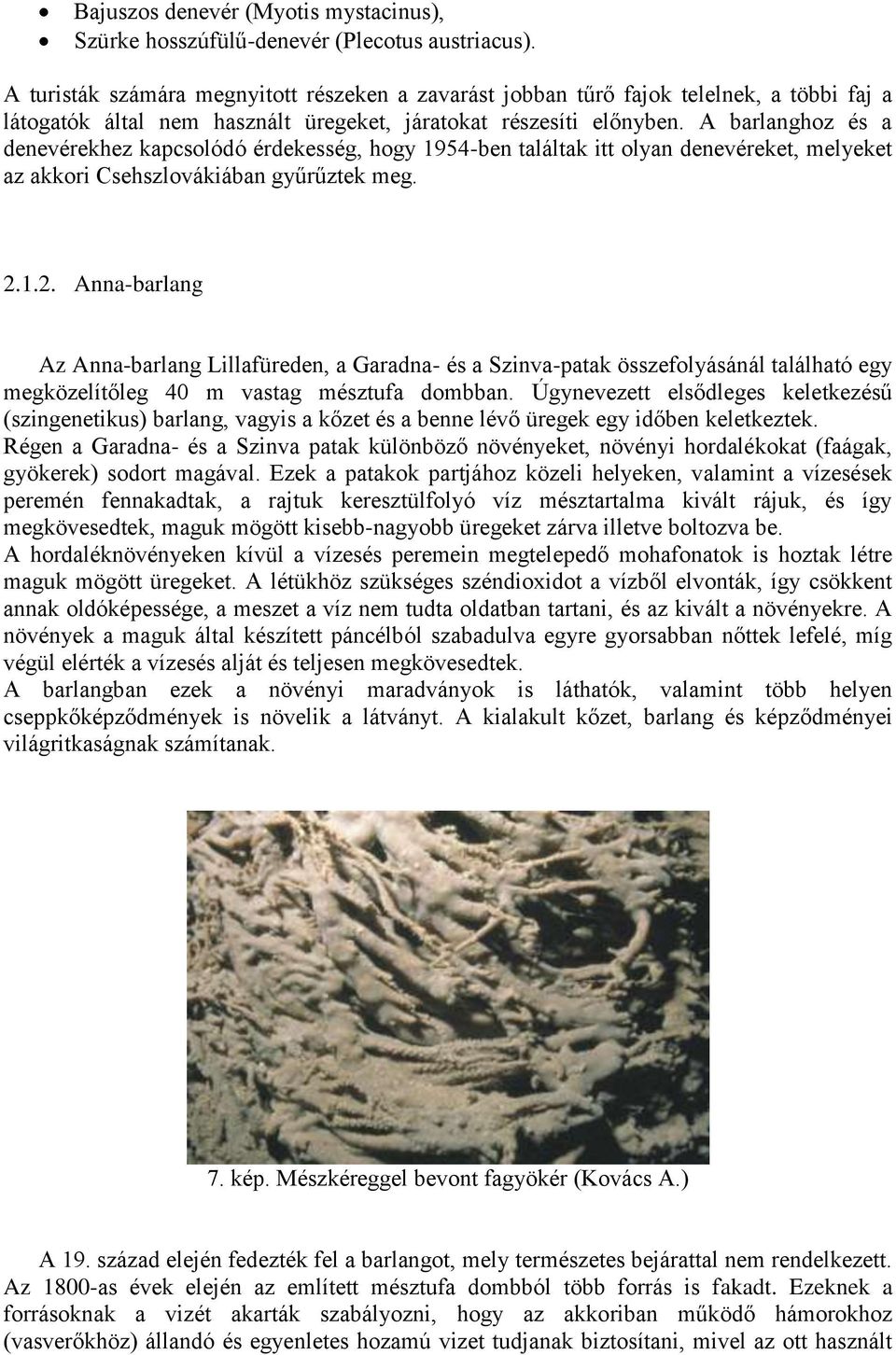 A barlanghoz és a denevérekhez kapcsolódó érdekesség, hogy 1954-ben találtak itt olyan denevéreket, melyeket az akkori Csehszlovákiában gyűrűztek meg. 2.