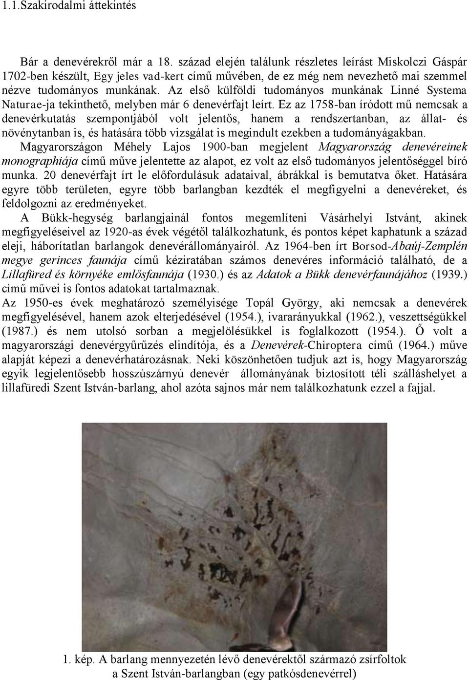 Az első külföldi tudományos munkának Linné Systema Naturae-ja tekinthető, melyben már 6 denevérfajt leírt.