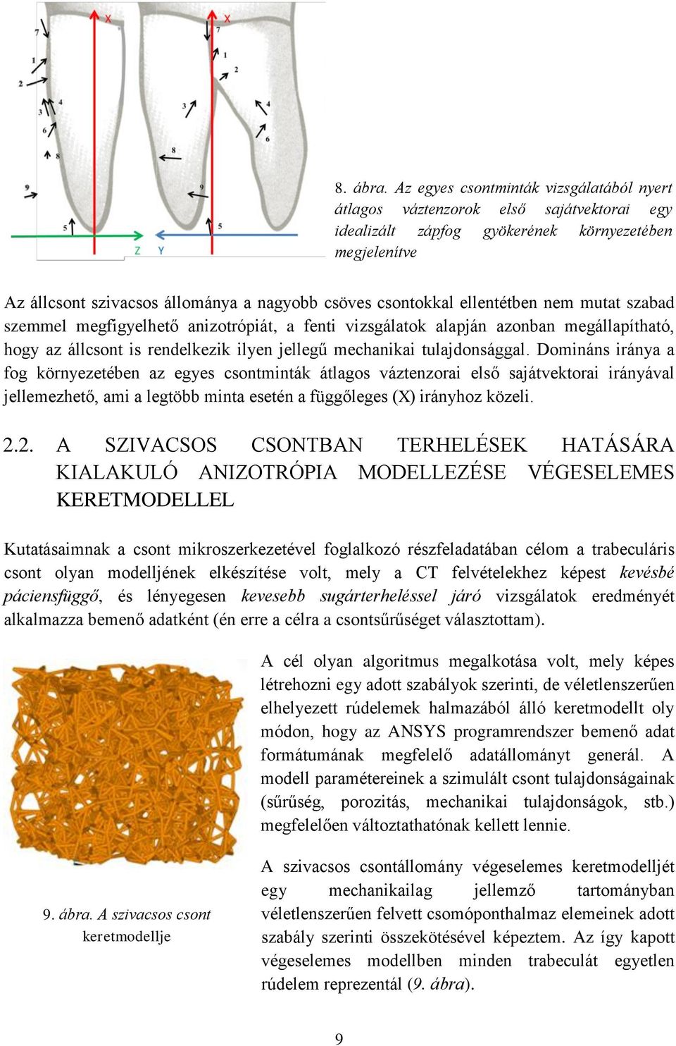 ellentétben nem mutat szabad szemmel megfigyelhető anizotrópiát, a fenti vizsgálatok alapján azonban megállapítható, hogy az állcsont is rendelkezik ilyen jellegű mechanikai tulajdonsággal.