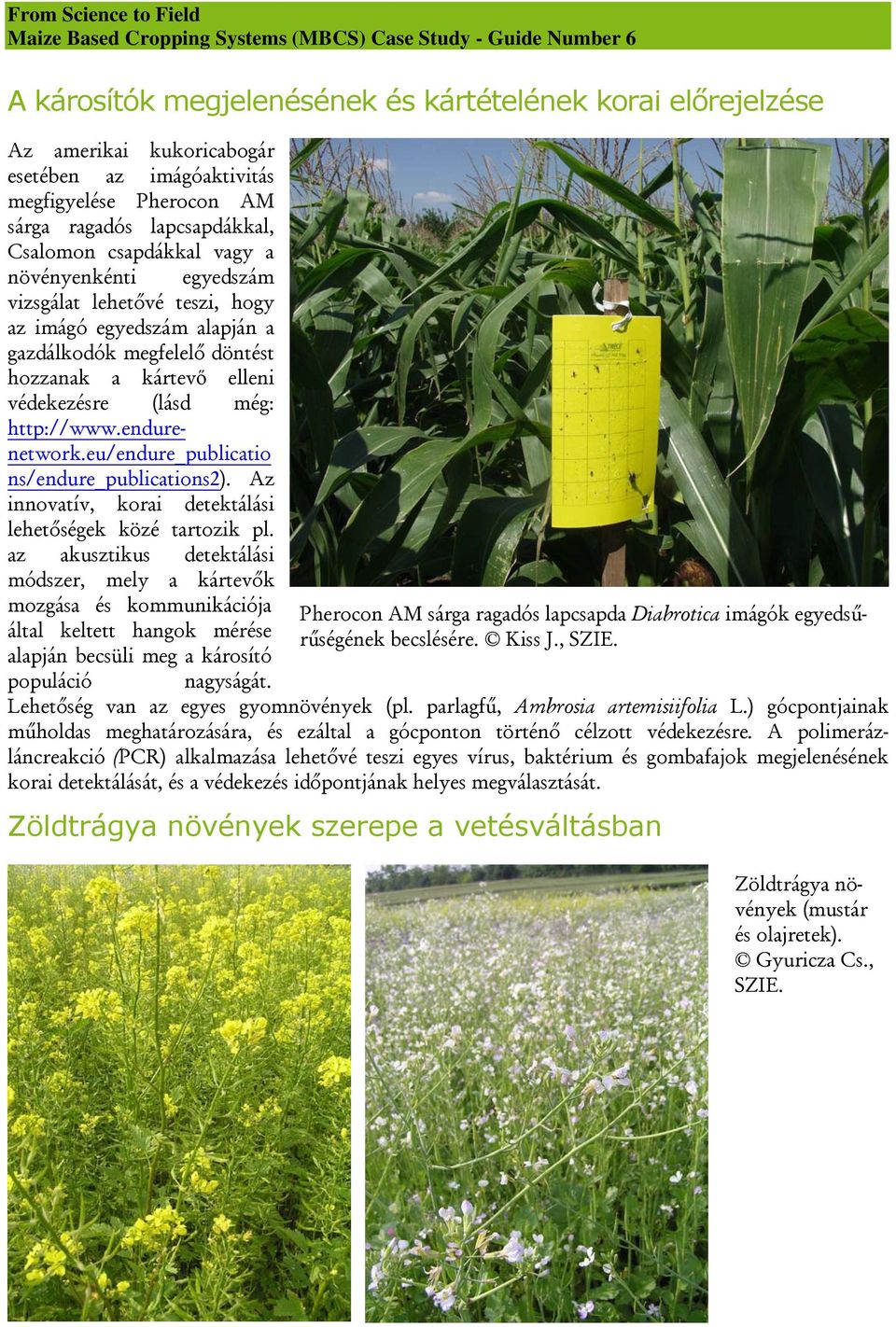 eu/endure_publicatio ns/endure_publications2). Az innovatív, korai detektálási lehetőségek közé tartozik pl.