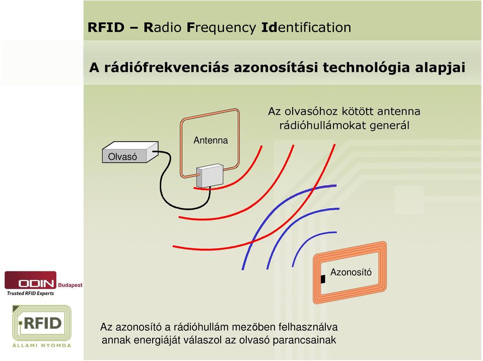 kötött antenna rádióhullámokat generál Azonosító Az azonosító a