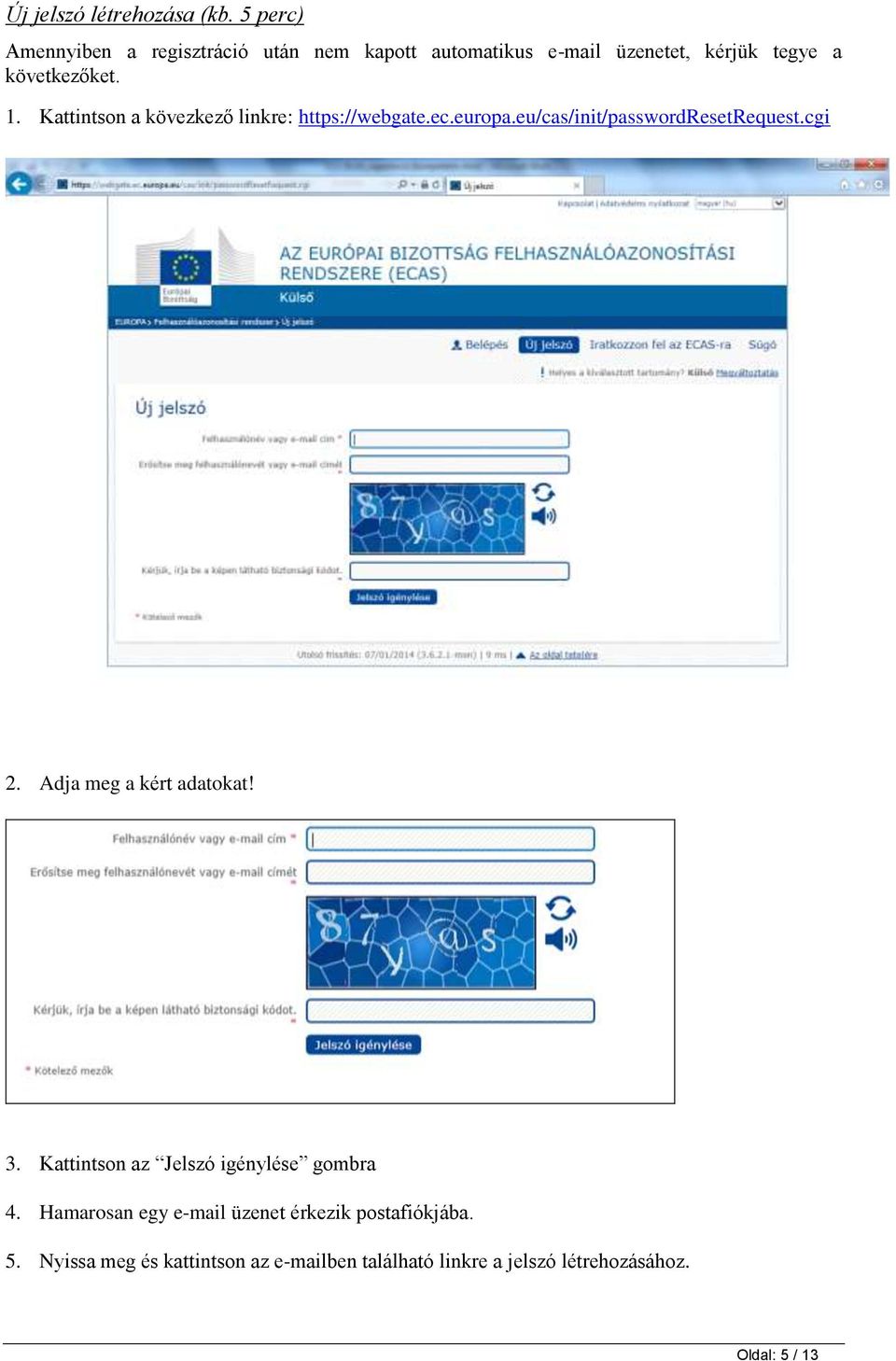 Kattintson a kövezkező linkre: https://webgate.ec.europa.eu/cas/init/passwordresetrequest.cgi 2.