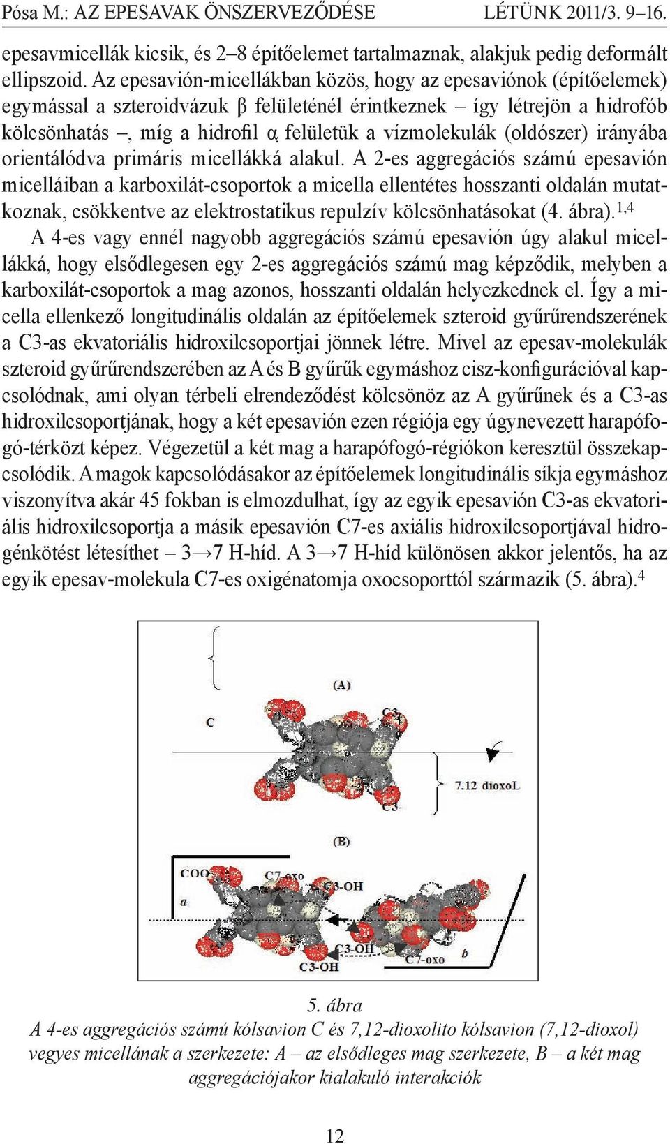 (oldószer) irányába orientálódva primáris micellákká alakul.