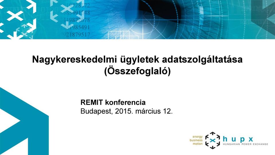 (Összefoglaló) REMIT