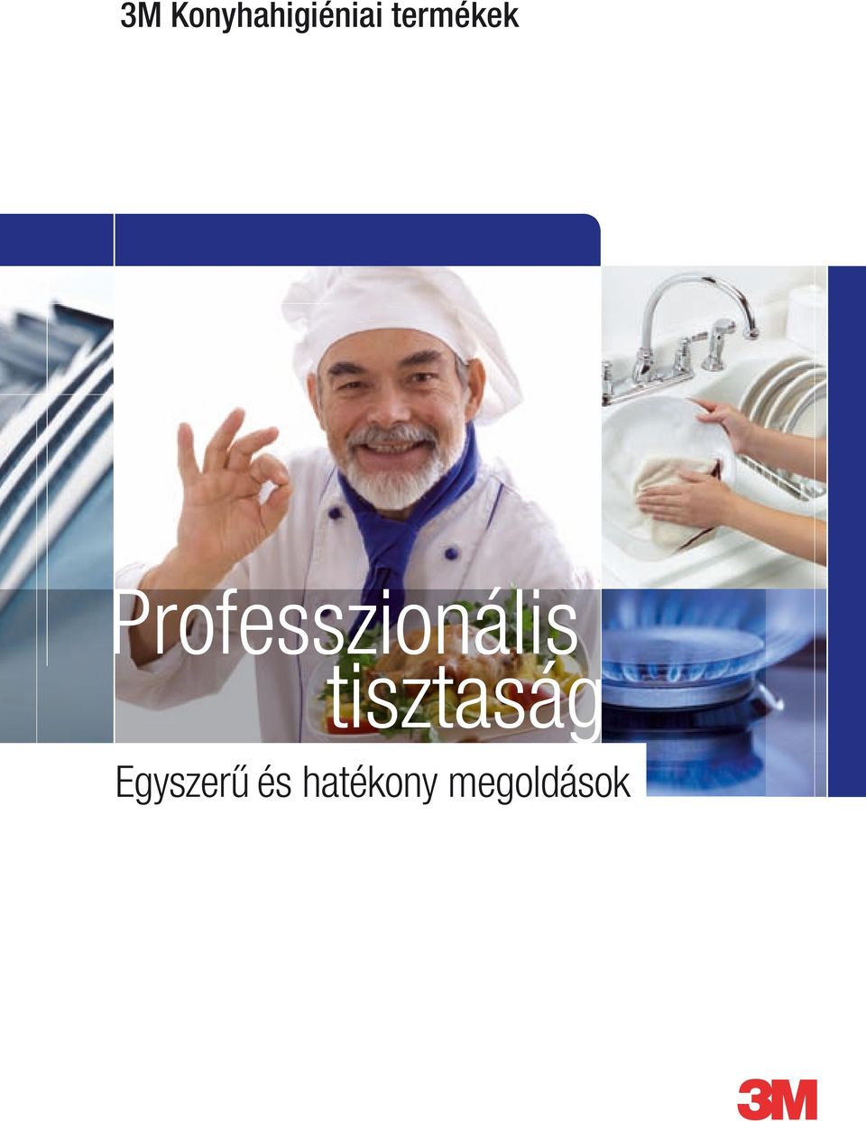 Professzionális