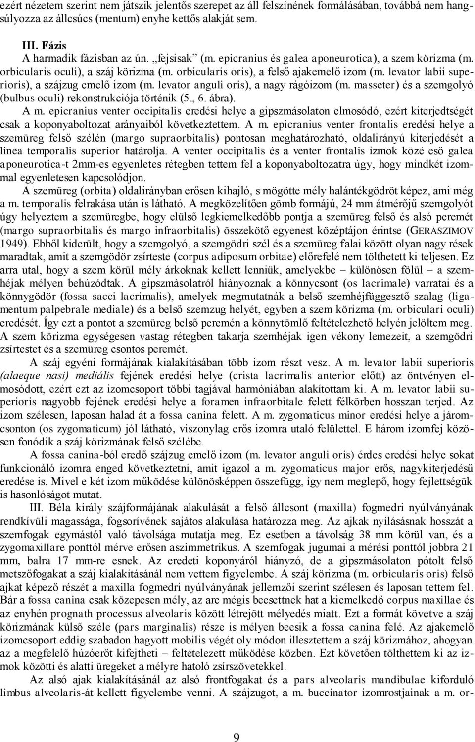 levator labii superioris), a szájzug emelő izom (m. levator anguli oris), a nagy rágóizom (m. masseter) és a szemgolyó (bulbus oculi) rekonstrukciója történik (5., 6. ábra). A m.