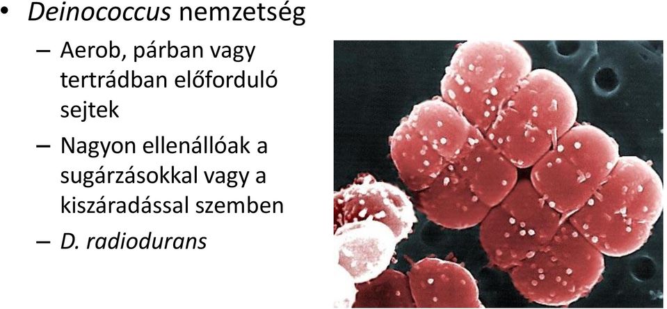 Nagyon ellenállóak a sugárzásokkal