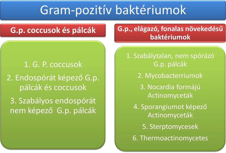 Szabálytalan, nem spórázó G.p. pálcák 2. Mycobacterriumok 3. Nocardia formájú Actinomyceták 4.