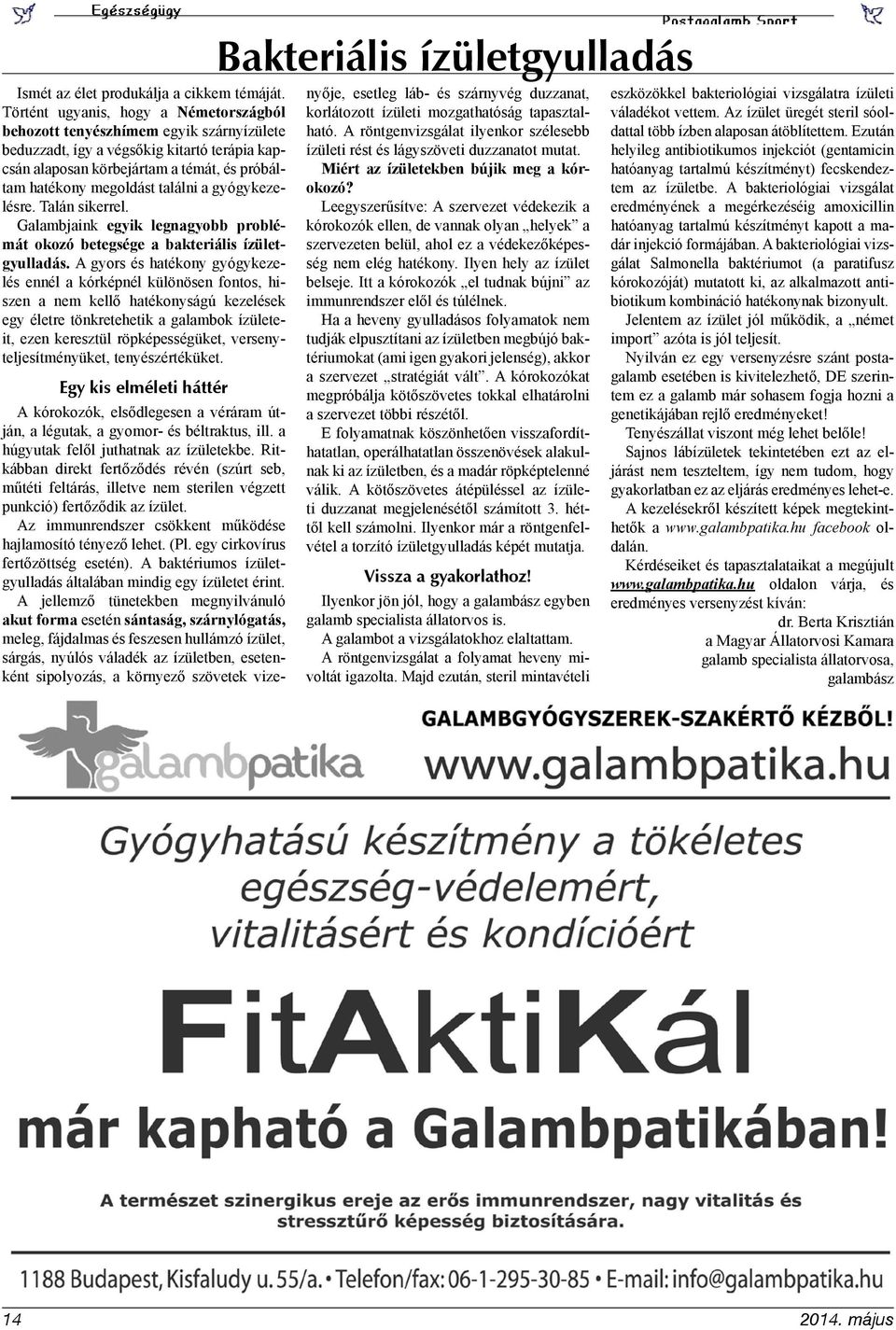 találni a gyógykezelésre. Talán sikerrel. Galambjaink egyik legnagyobb problémát okozó betegsége a bakteriális ízületgyulladás.