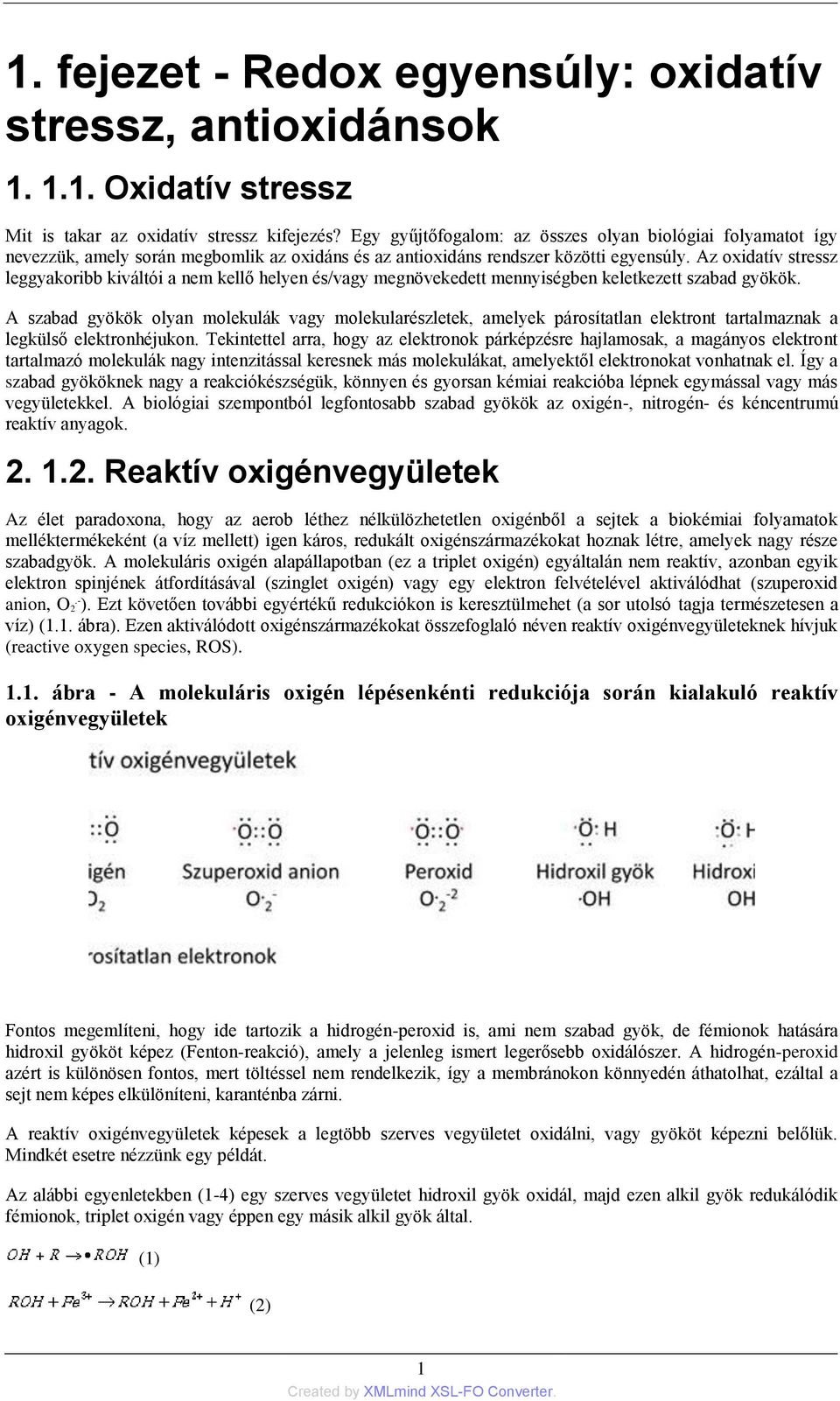 Az oxidatív stressz leggyakoribb kiváltói a nem kellő helyen és/vagy megnövekedett mennyiségben keletkezett szabad gyökök.