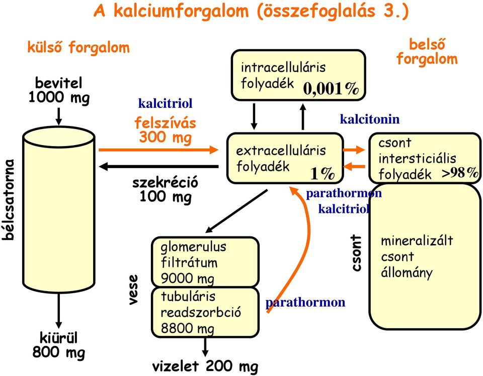 mg glomerulus filtrátum 9000 mg tubuláris readszorbció 8800 mg vizelet 200 mg intracelluláris folyadék