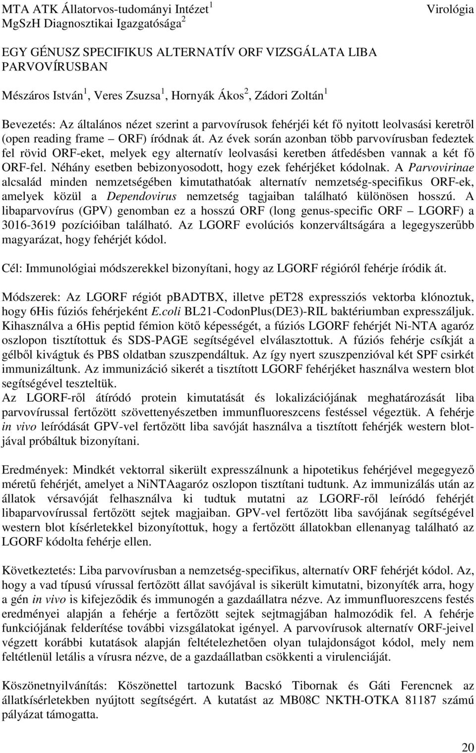 Az évek során azonban több parvovírusban fedeztek fel rövid ORF-eket, melyek egy alternatív leolvasási keretben átfedésben vannak a két fő ORF-fel.