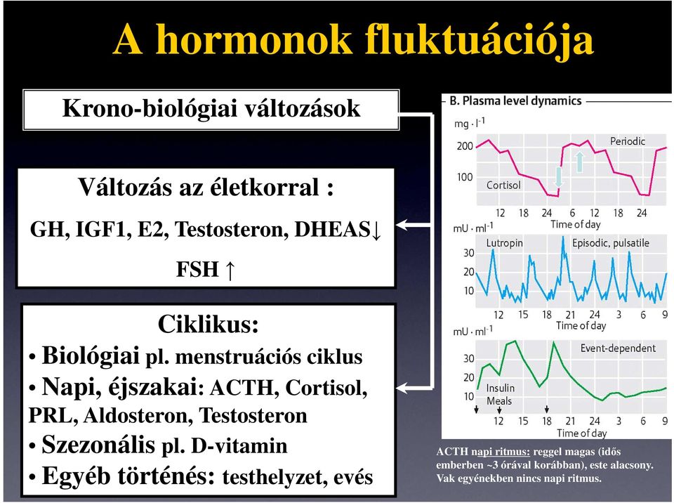 menstruációs ciklus Napi, éjszakai: ACTH, Cortisol, PRL, Aldosteron, Testosteron Szezonális pl.