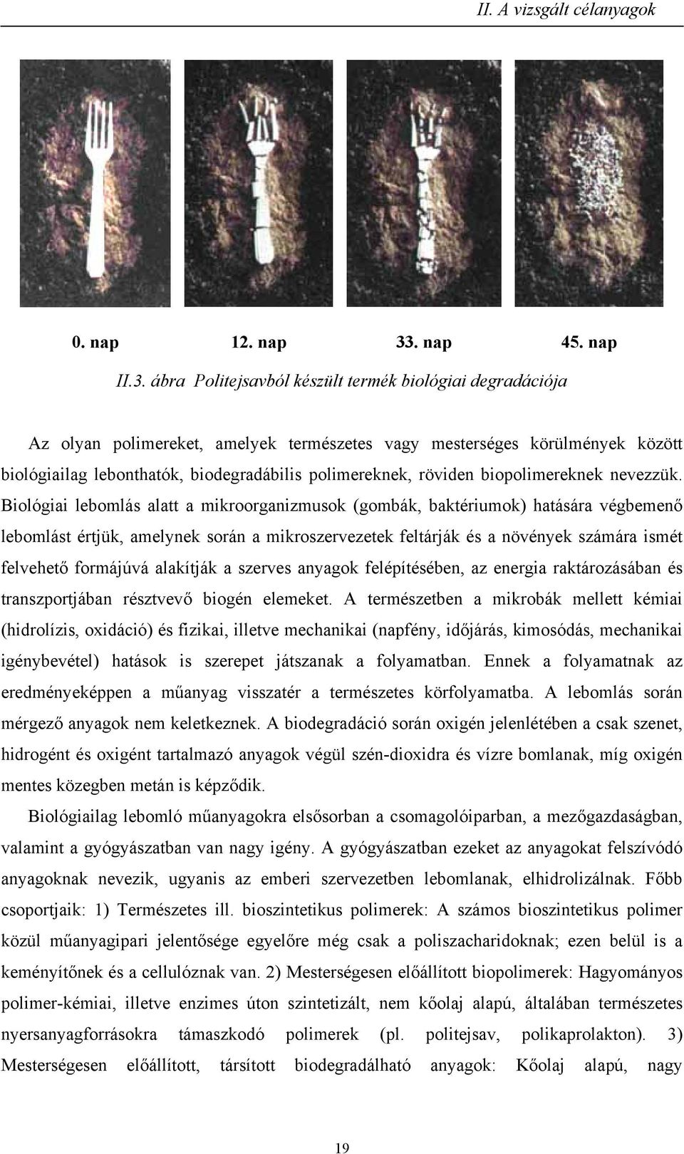 ábra Politejsavból készült termék biológiai degradációja Az olyan polimereket, amelyek természetes vagy mesterséges körülmények között biológiailag lebonthatók, biodegradábilis polimereknek, röviden