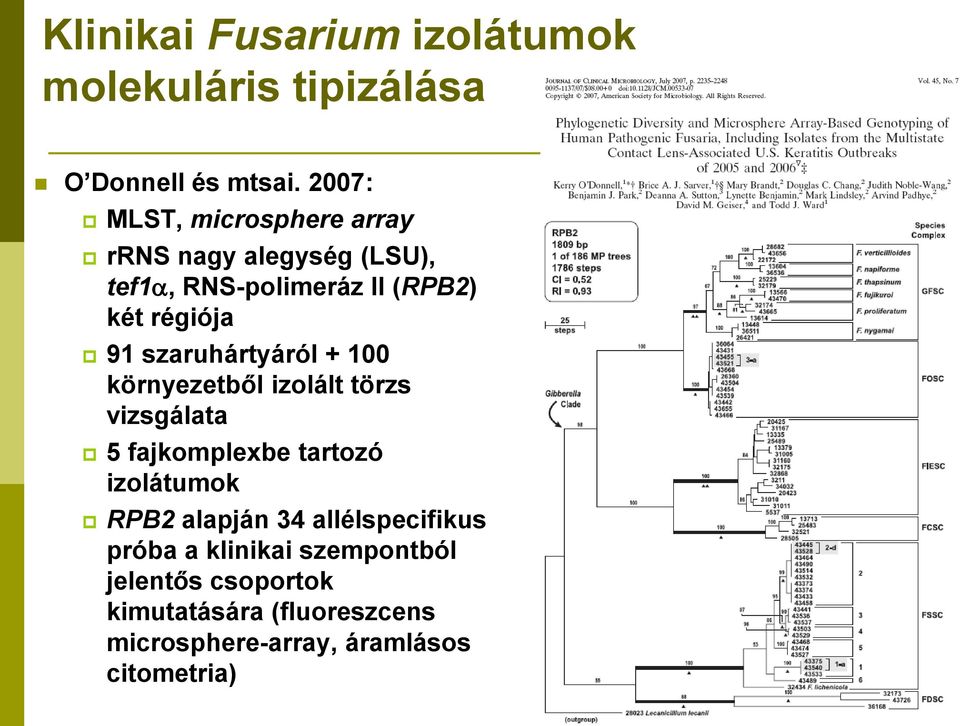 szaruhártyáról + 100 környezetből izolált törzs vizsgálata 5 fajkomplexbe tartozó izolátumok RPB2