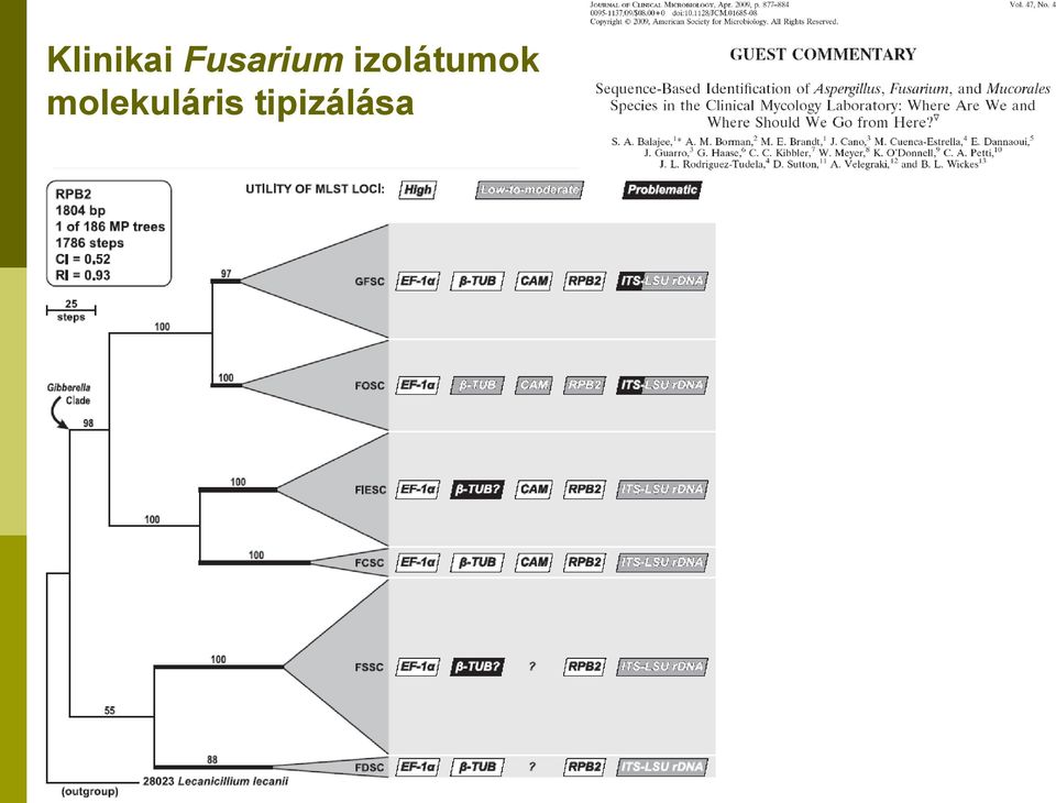 izolátumok