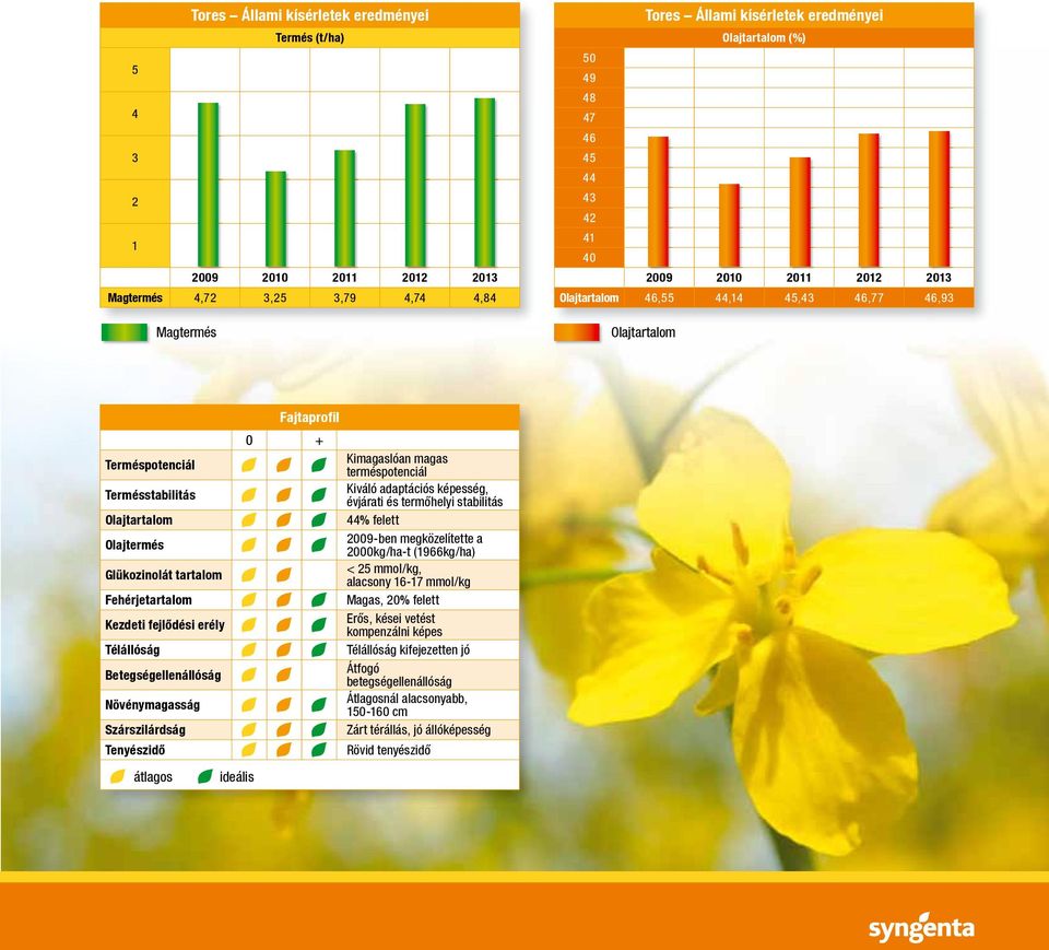 képesség, évjárati és termőhelyi stabilitás Olajtartalom 44% felett Olajtermés 2009-ben megközelítette a 2000kg/ha-t (1966kg/ha) Glükozinolát tartalom < 25 mmol/kg, alacsony 16-17 mmol/kg