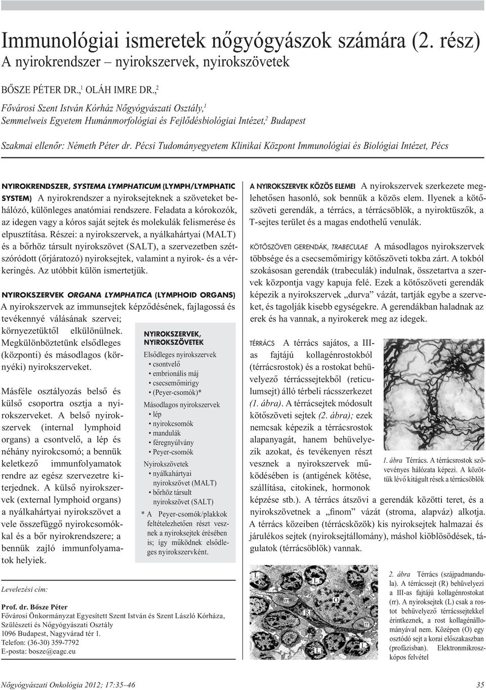 Pécsi Tudományegyetem Klinikai Központ Immunológiai és Biológiai Intézet, Pécs NYIROKRENDSZER, SYSTEMA LYMPHATICUM (LYMPH/LYMPHATIC SYSTEM) A nyirokrendszer a nyiroksejteknek a szöveteket behálózó,