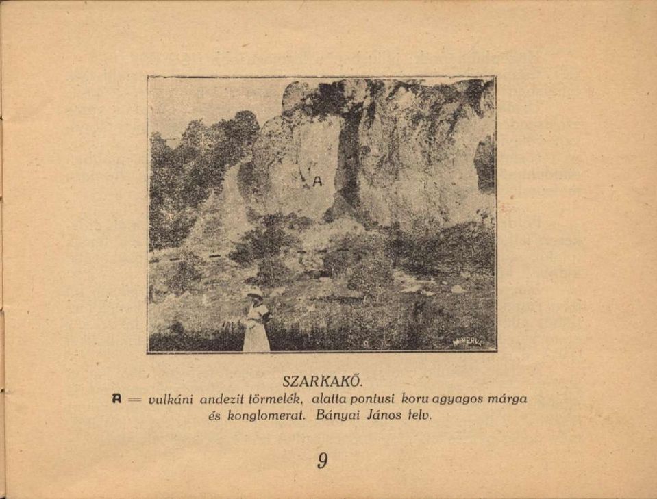törmelék, alatia pontusi