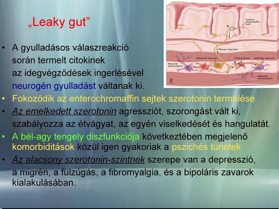 étvágyat, az egyén viselkedését és hangulatát.