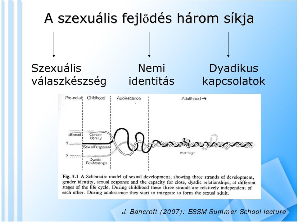 identitás Dyadikus kapcsolatok J.