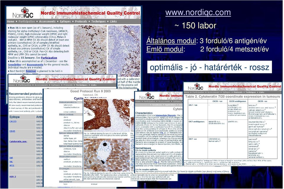 forduló/6 antigén/év Emlő modul: 2