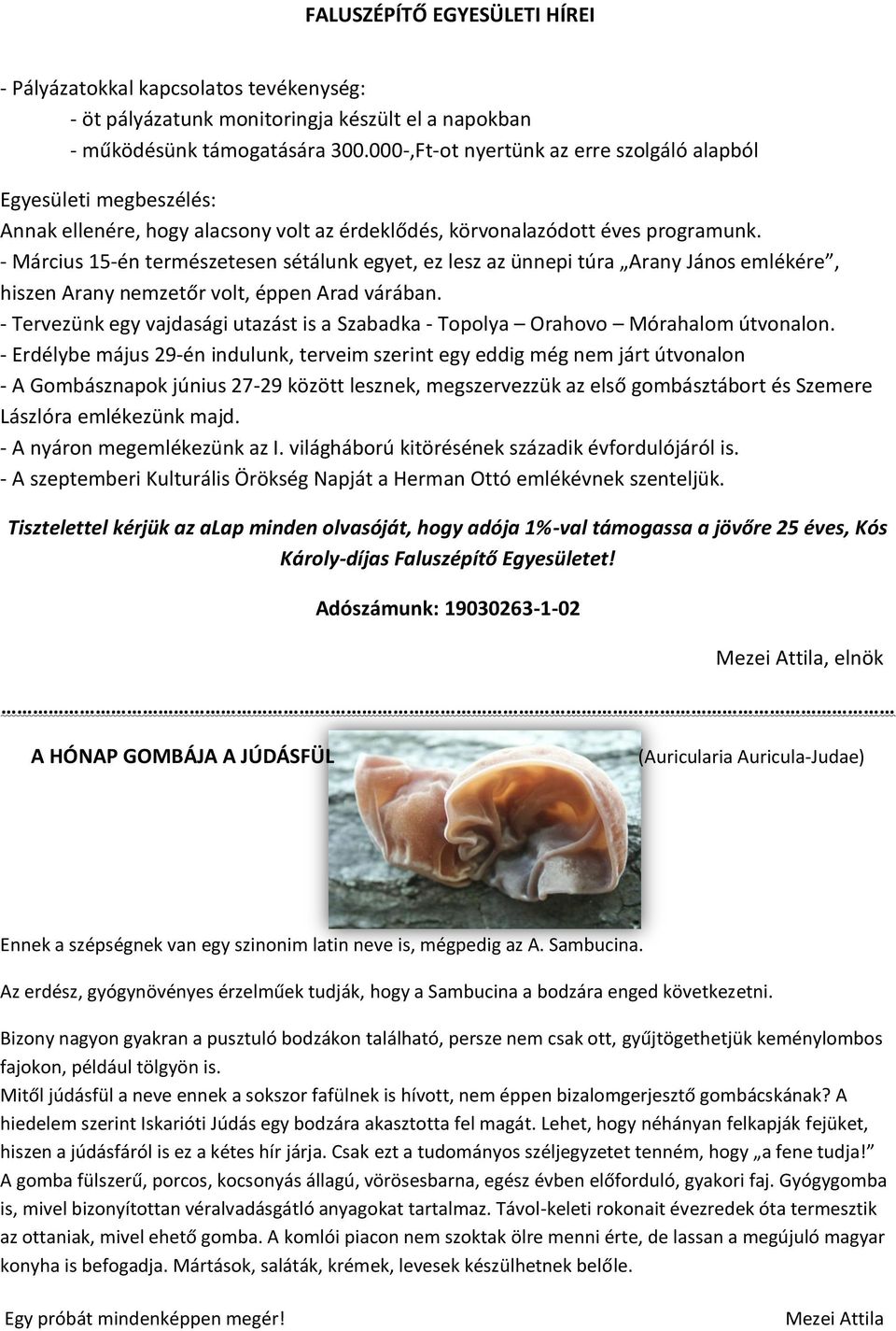 - Március 15-én természetesen sétálunk egyet, ez lesz az ünnepi túra Arany János emlékére, hiszen Arany nemzetőr volt, éppen Arad várában.