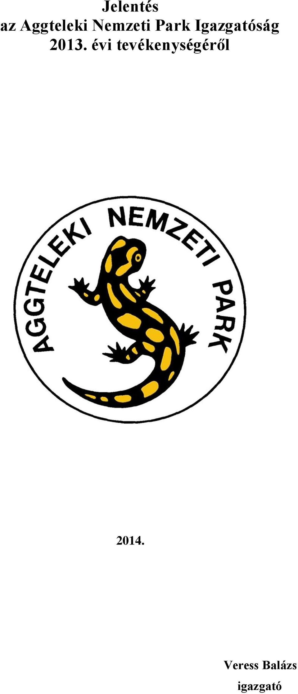2013. évi tevékenységéről