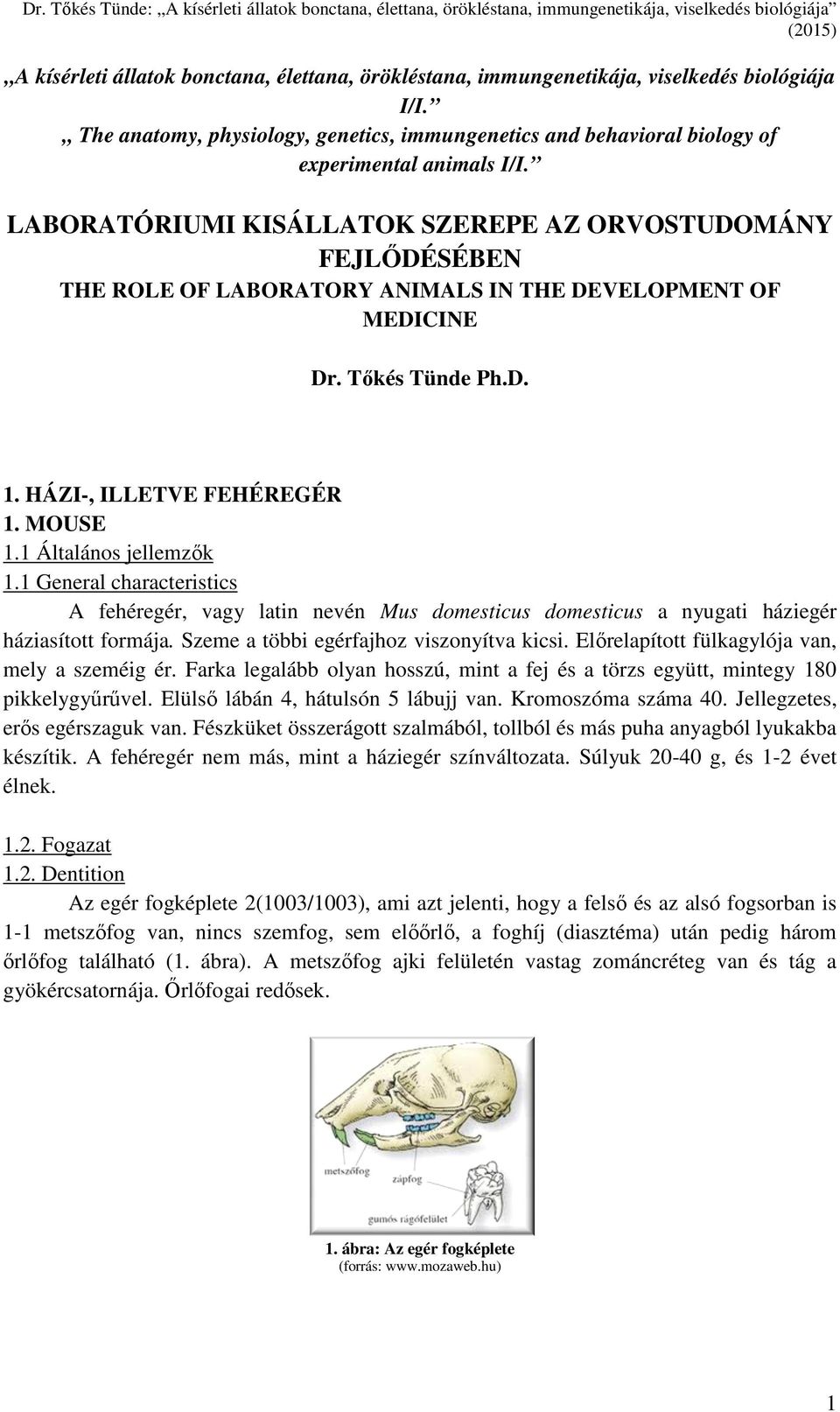 1 Általános jellemzők 1.1 General characteristics A fehéregér, vagy latin nevén Mus domesticus domesticus a nyugati háziegér háziasított formája. Szeme a többi egérfajhoz viszonyítva kicsi.