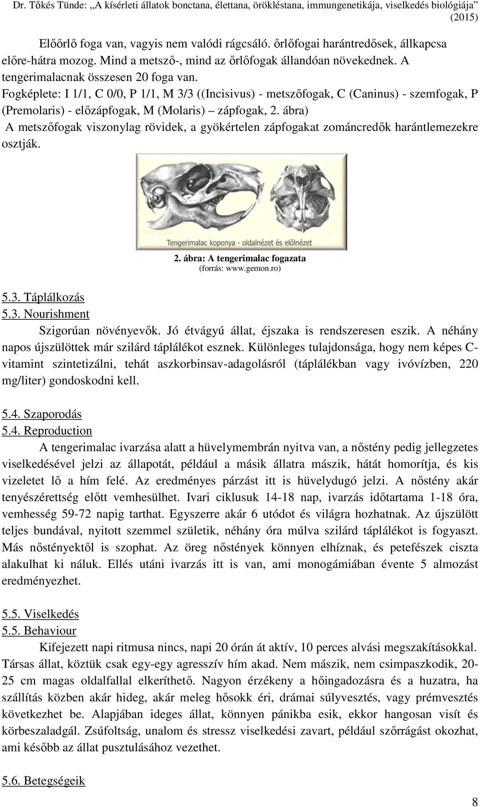 Fogképlete:: I 1/1, C 0/0, P 1/1, M 3/3 ((Incisivus) ((Incisiv - metszőfogak, fogak, C (Caninus) - szemfogak, P (Premolaris) - előzápfogak, zápfogak, M (Molaris) ( zápfogak, 2.