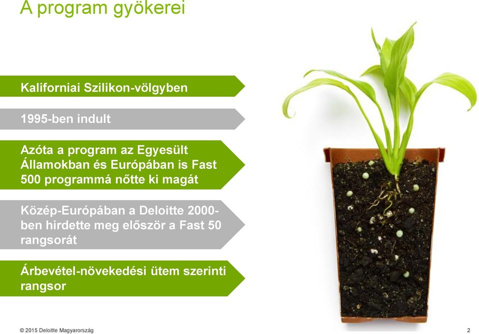 nőtte ki magát Közép-Európában a Deloitte 2000- ben hirdette meg először a