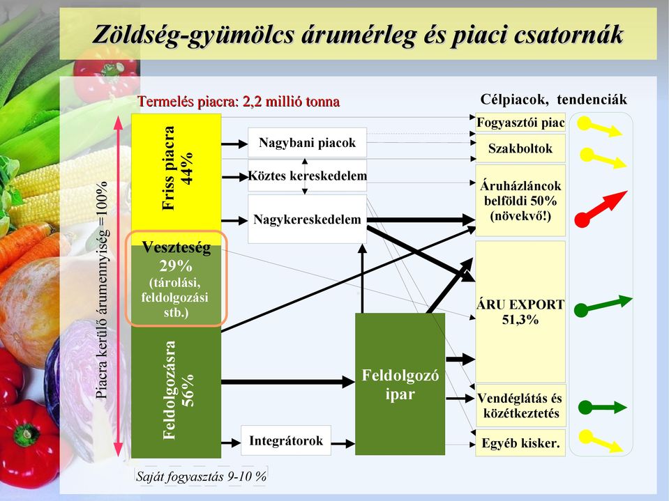 ) Feldolgozásra 56% Saját fogyasztás 9-10 % Nagybani piacok Köztes kereskedelem Nagykereskedelem Integrátorok.