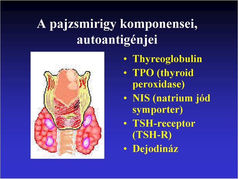 (thyroid peroxidase) NIS (natrium