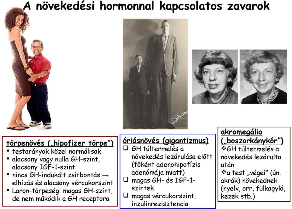 (gigantizmus) GH túltermelés a növekedés lezárulása előtt (főként adenohipofízis adenómája miatt) magas GH- és IGF-1szintek magas vércukorszint,