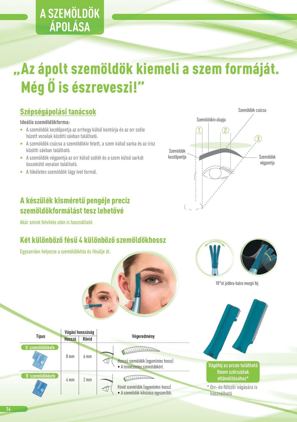 A szemöldök csúcsa a szemöldökív felett, a szem külső sarka és az írisz közötti sávban található. A szemöldök végpontja az orr külső szélét és a szem külső sarkát összekötő vonalon található.