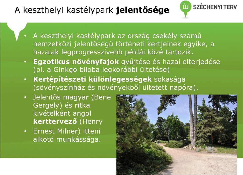Egzotikus növényfajok gyűjtése és hazai elterjedése (pl.