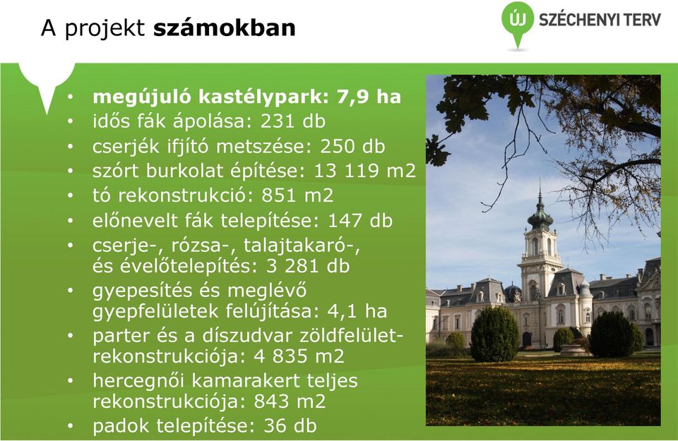 talajtakaró-, és évelőtelepítés: 3 281 db gyepesítés és meglévő gyepfelületek felújítása: 4,1 ha parter és a