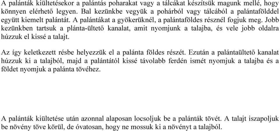 Jobb kezünkben tartsuk a plánta-ültető kanalat, amit nyomjunk a talajba, és vele jobb oldalra húzzuk el kissé a talajt. Az így keletkezett résbe helyezzük el a palánta földes részét.