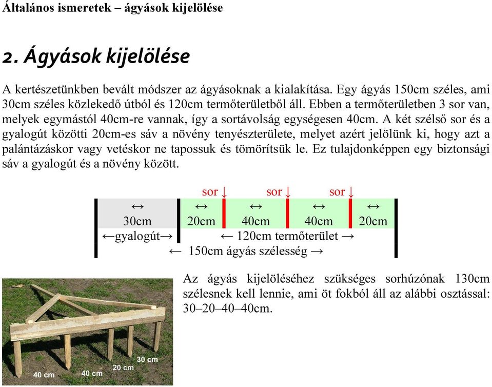 A két szélső sor és a gyalogút közötti 20cm-es sáv a növény tenyészterülete, melyet azért jelölünk ki, hogy azt a palántázáskor vagy vetéskor ne tapossuk és tömörítsük le.