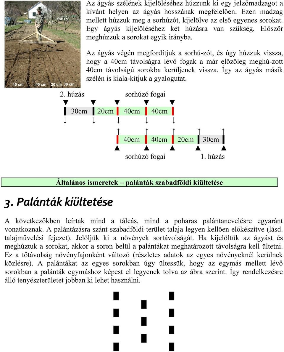 Az ágyás végén megfordítjuk a sorhú-zót, és úgy húzzuk vissza, hogy a 40cm távolságra lévő fogak a már előzőleg meghú-zott 40cm távolságú sorokba kerüljenek vissza.