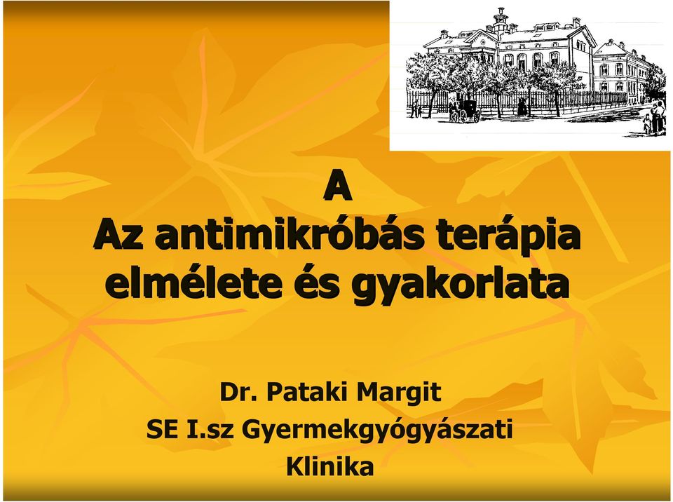 gyakorlata Dr.