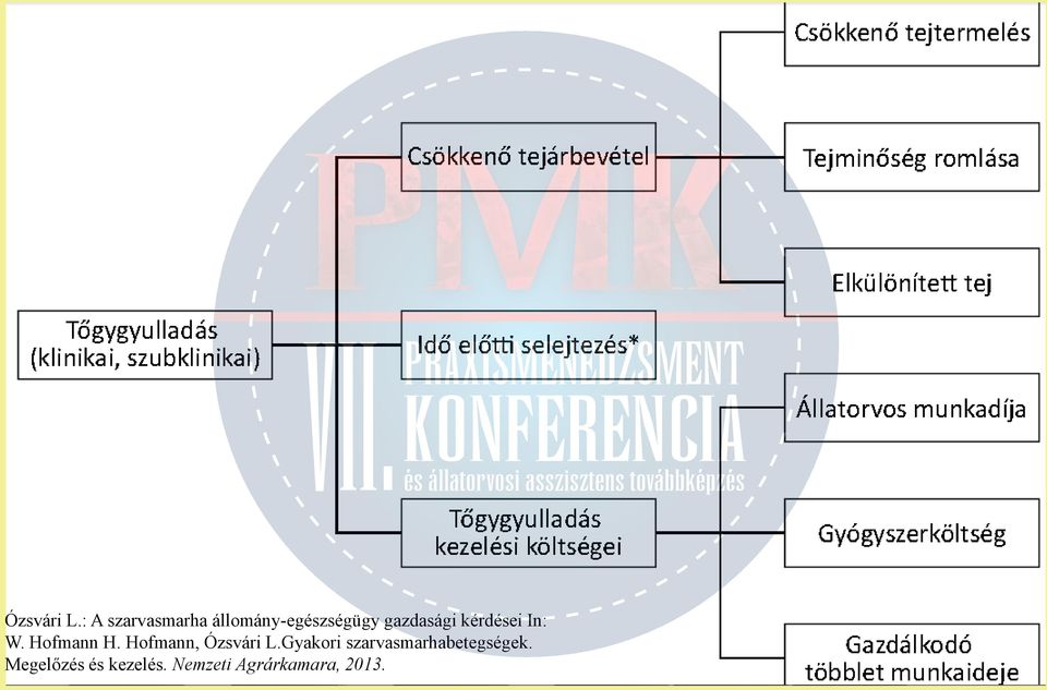 gazdasági kérdései In: W. Hofmann H.