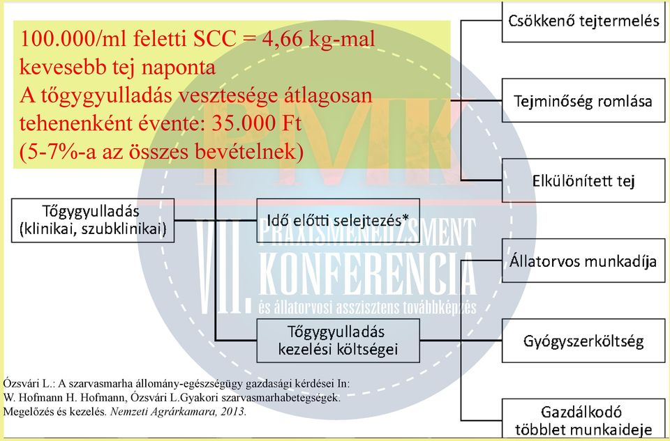 : A szarvasmarha állomány-egészségügy gazdasági kérdései In: W. Hofmann H.