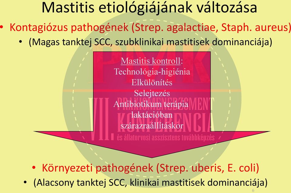 Technológia-higiénia Elkülönítés Selejtezés Antibiotikum terápia laktációban