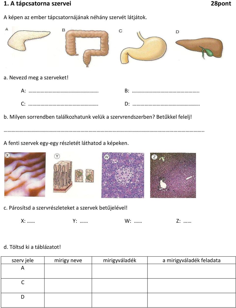 A fenti szervek egy-egy részletét láthatod a képeken. c.