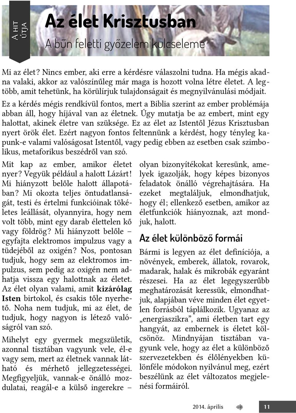 Ez a kérdés mégis rendkívül fontos, mert a Biblia szerint az ember problémája abban áll, hogy híjával van az életnek. Úgy mutatja be az embert, mint egy halotat, akinek életre van szüksége.