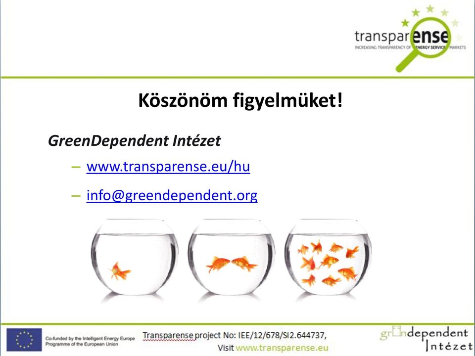 www.transparense.