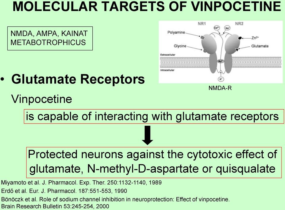 quisqualate Miyamoto et al. J. Pharmacol. Exp. Ther. 250:1132-1140, 1989 Erdő et al. Eur. J. Pharmacol. 187:551-553, 1990 Bönöczk et al.